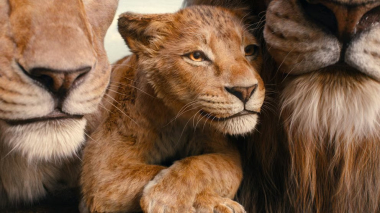 Mufasa: The Lion King movie picture 1 download