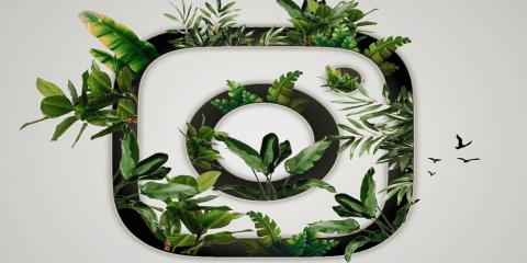 Instagram Creates More Opportunities in Stories