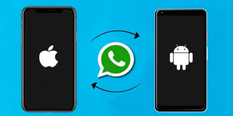 Take Your WhatsApp Data Between iPhone and Android
