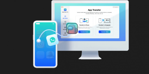 What to Know about AppTrans