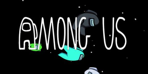 Which Among Us Collector's Edition is Better?