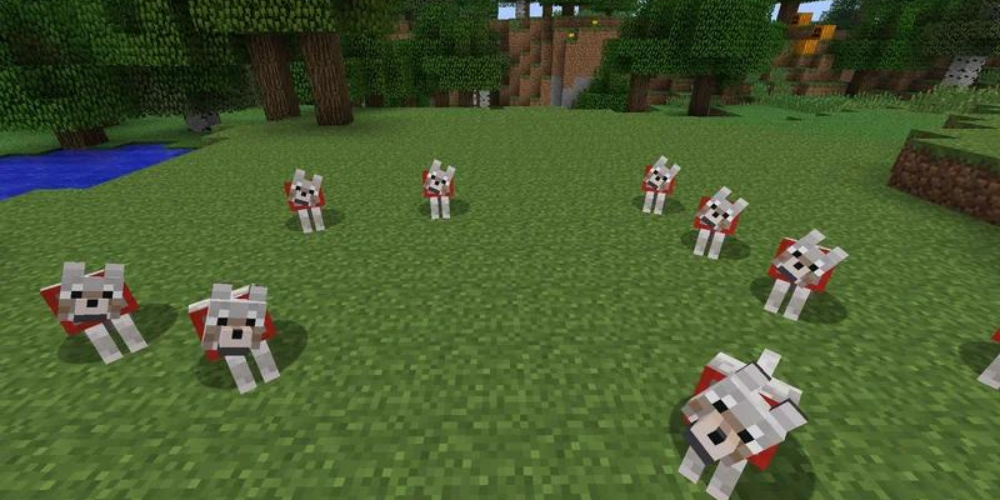 Minecraft Wolf gameplay screenshot