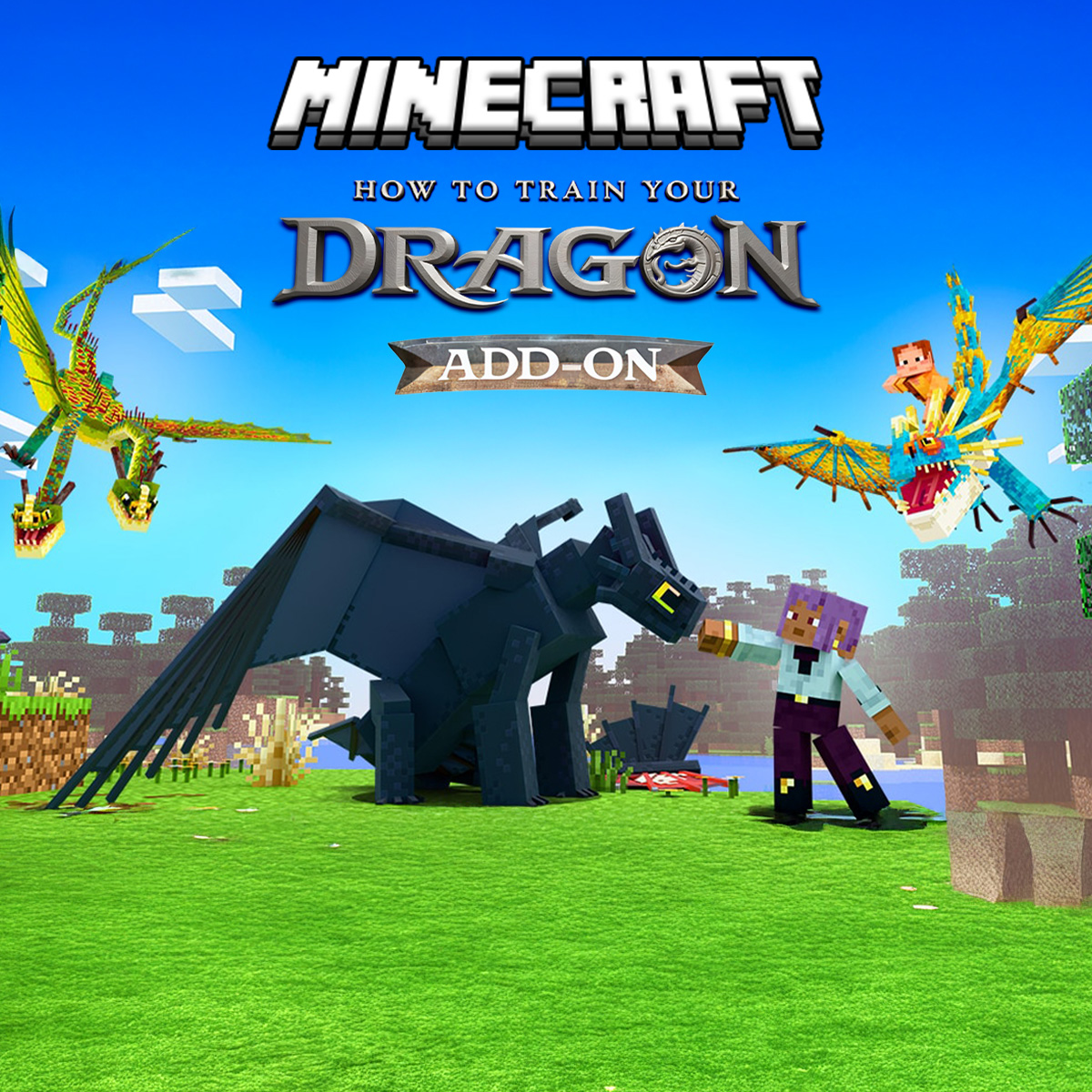 Minecraft How To Train Your Dragon game logo